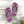 Zoo Bflo - Flip Flops