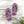 Zoo Bflo - Flip Flops