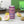 Zoo Bflo - Slim Can Cooler