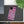 Zoo Bflo - (IPhone & Samsung) Slim Cases