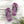 Zoo Bflo - Flip Flops