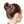 Zoo Bflo - Scrunchie